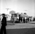 Autocarros da Concorrência