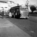 Autocarros da Concorrência